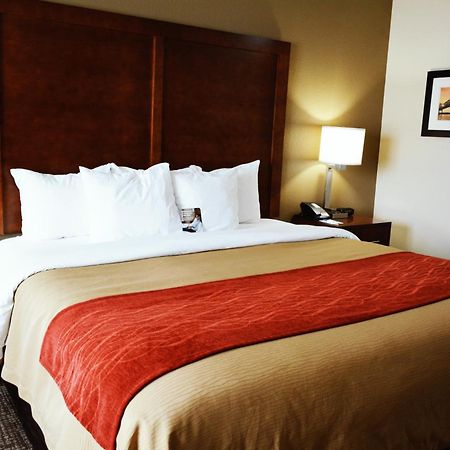 Comfort Inn & Suites Covington - Mandeville المظهر الخارجي الصورة